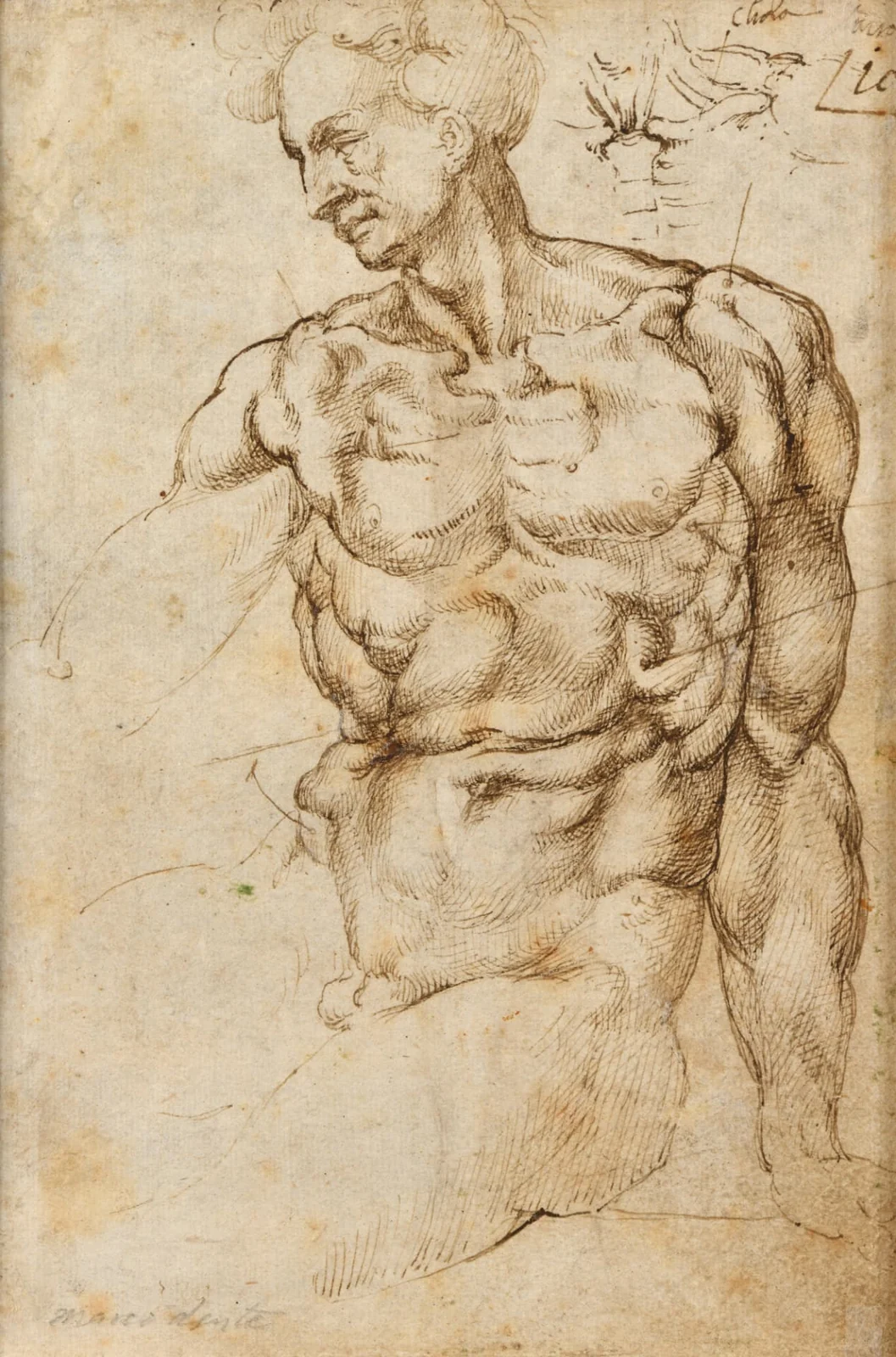 Detail of an Old Master study of a male figure